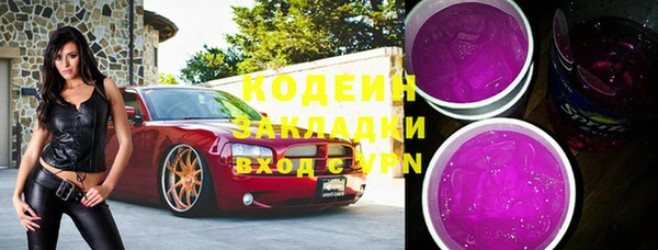 прущие грибы Апатиты